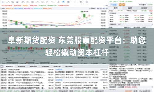 阜新期货配资 东莞股票配资平台：助您轻松撬动资本杠杆